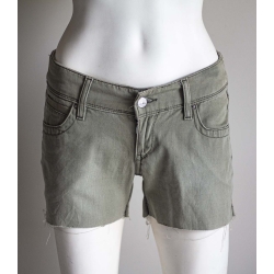 Shorts Revised Levis